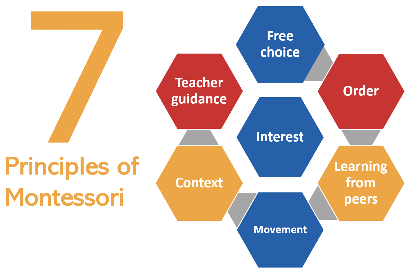 The seven principles of Montessori